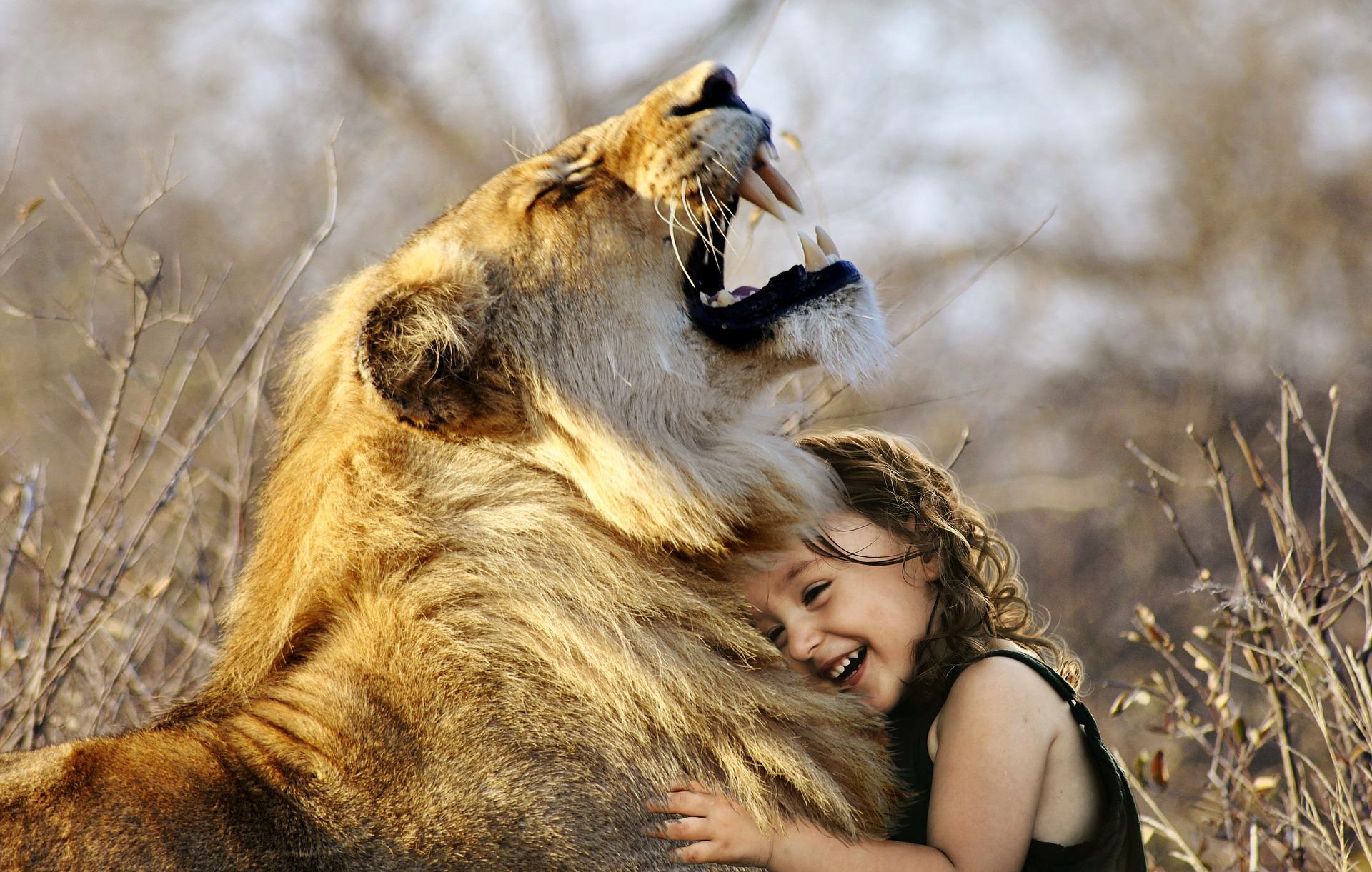 Leeuw met kind
